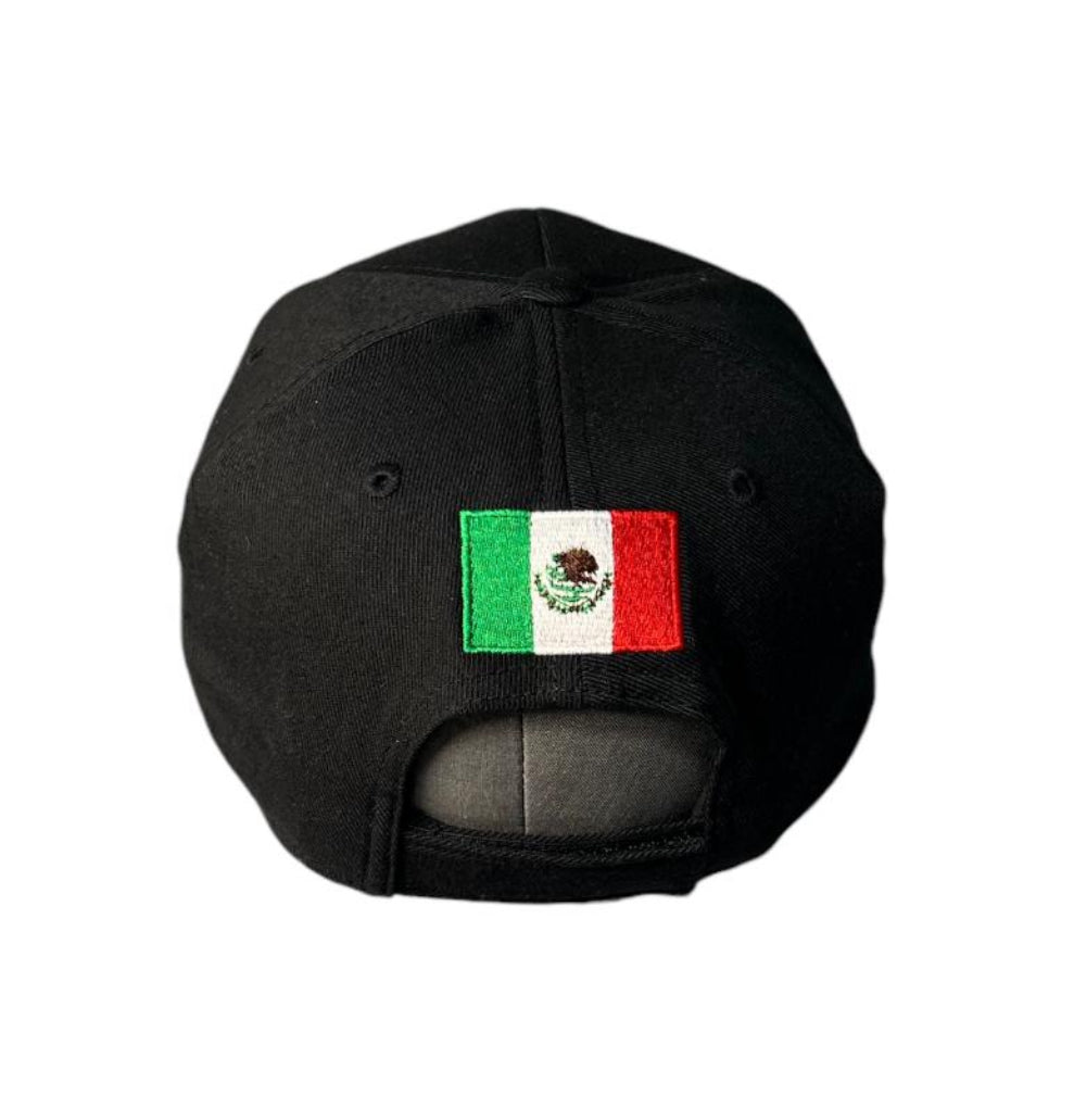 Edicion Limitada Formula 1 *Autografiada* Gorra Negra Tipo Curva con Logo PO 3D al frente y #29 Neon a un lado